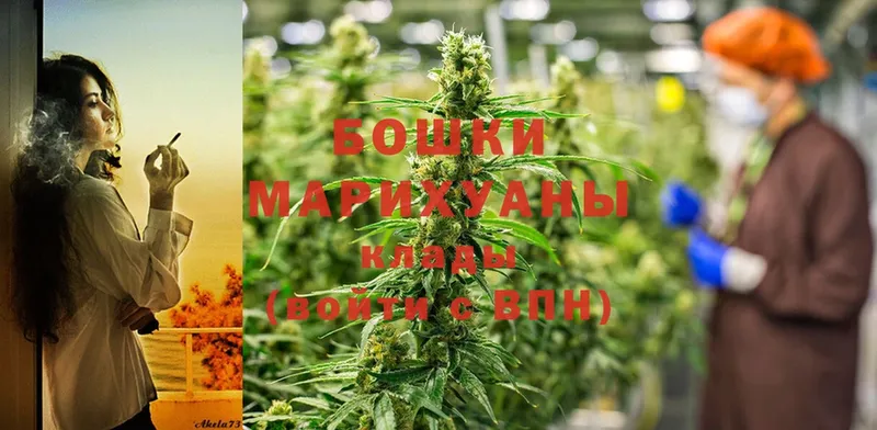 blacksprut онион  дарнет шоп  Кемь  МАРИХУАНА White Widow 